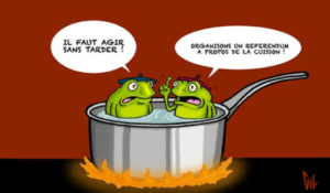 Le syndrome de la grenouille