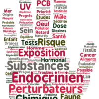 Perturbateurs endocriniens : une pandémie peut en cacher une autre