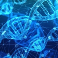 Bien-être et santé : nouveaux espoirs avec la physique quantique et l’épigénétique