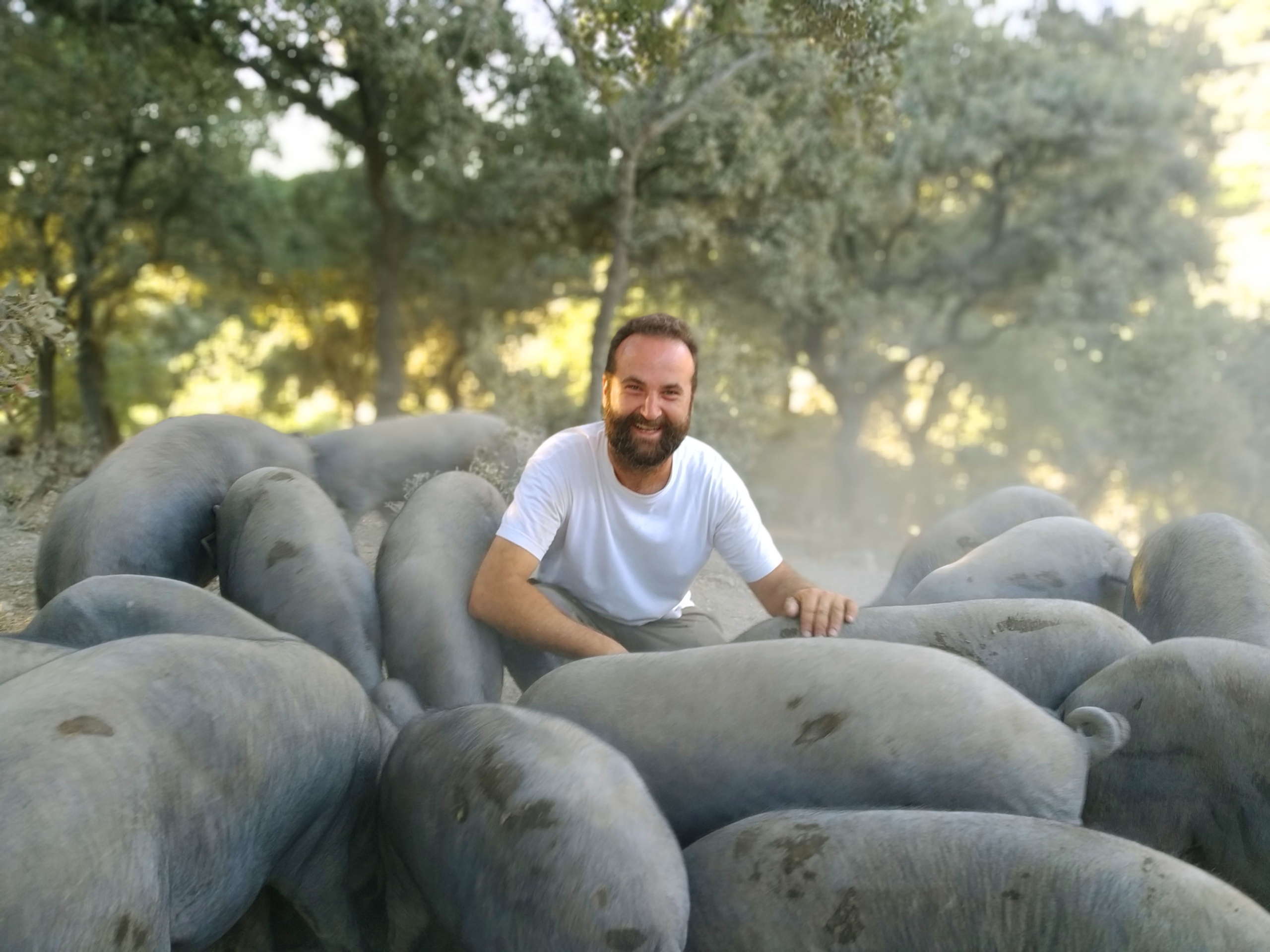 La umbri iberico Ferme