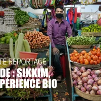 Films – Documentaires : Cultivons la participation & Sikkim, une expérience bio