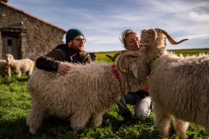 Mohair du Larzac