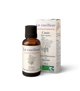 Le Cueilleur