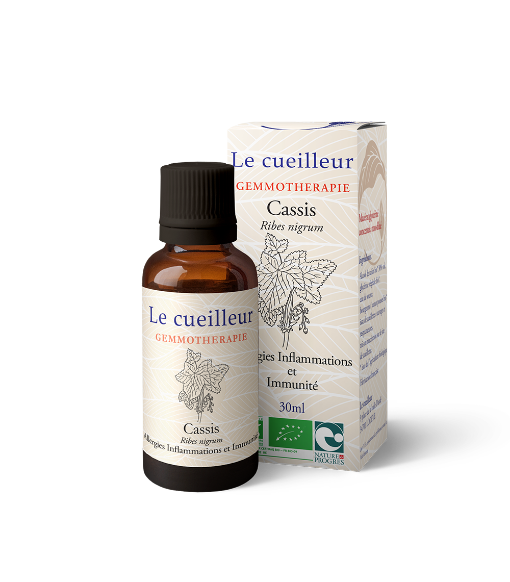 Le Cueilleur