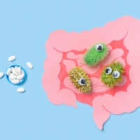 Le pouvoir du microbiote intestinal