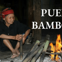 Bien choisir son thé pour la santé : théine, fermentation et secrets du Puerh vietnamien