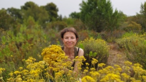 Ambre des Dunes