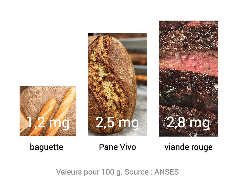 Pane Vivo