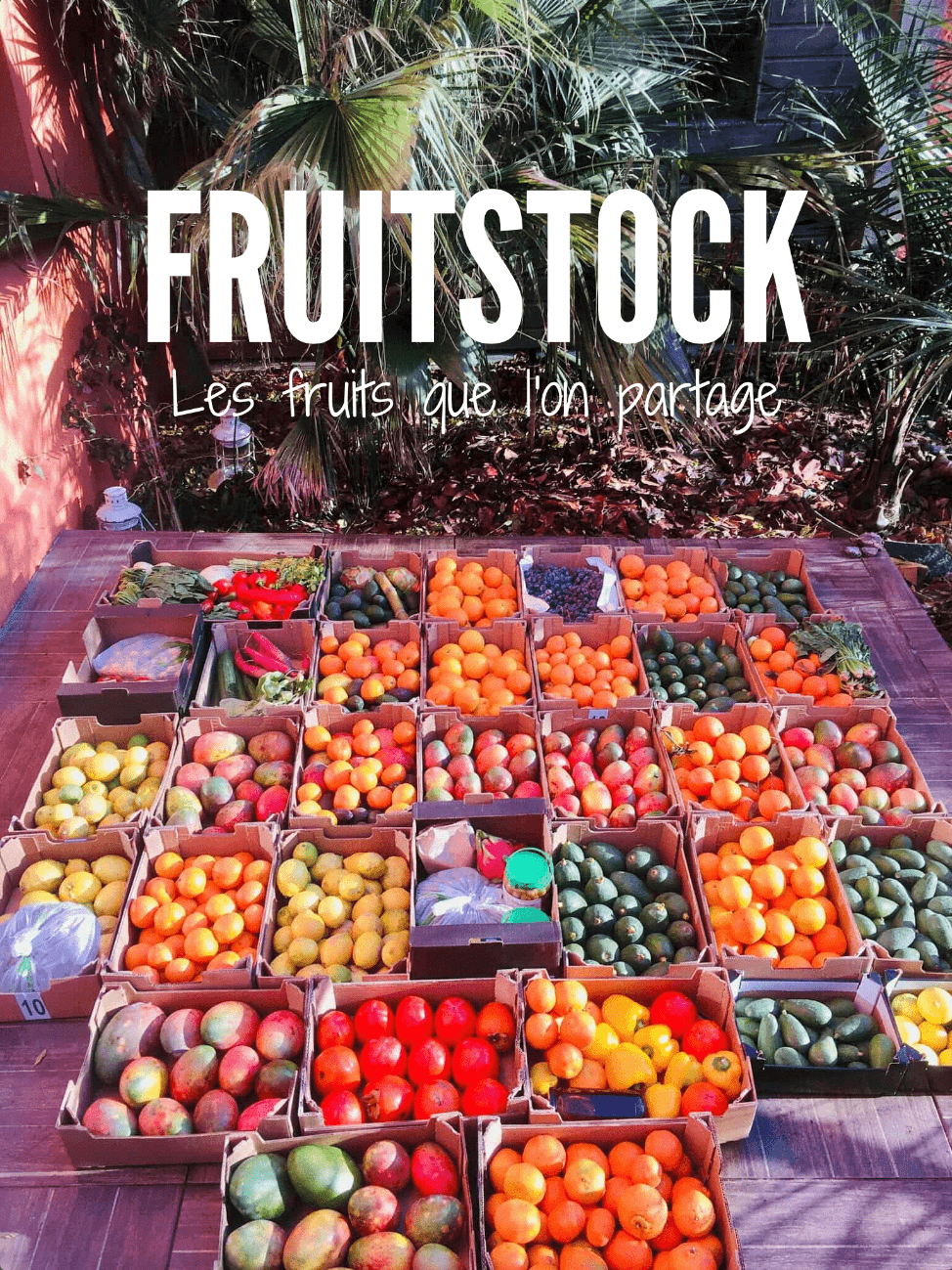 Fruitstock