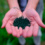 Akal Spiruline
