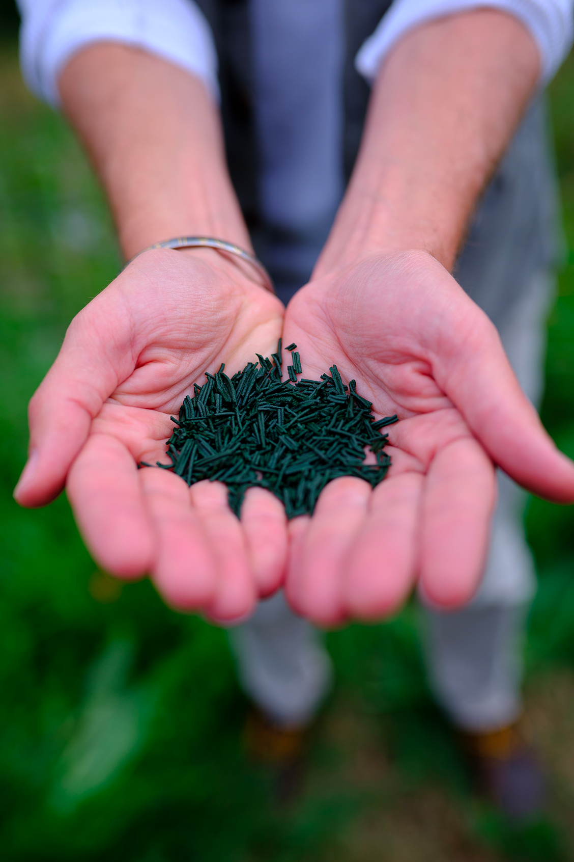 Akal Spiruline