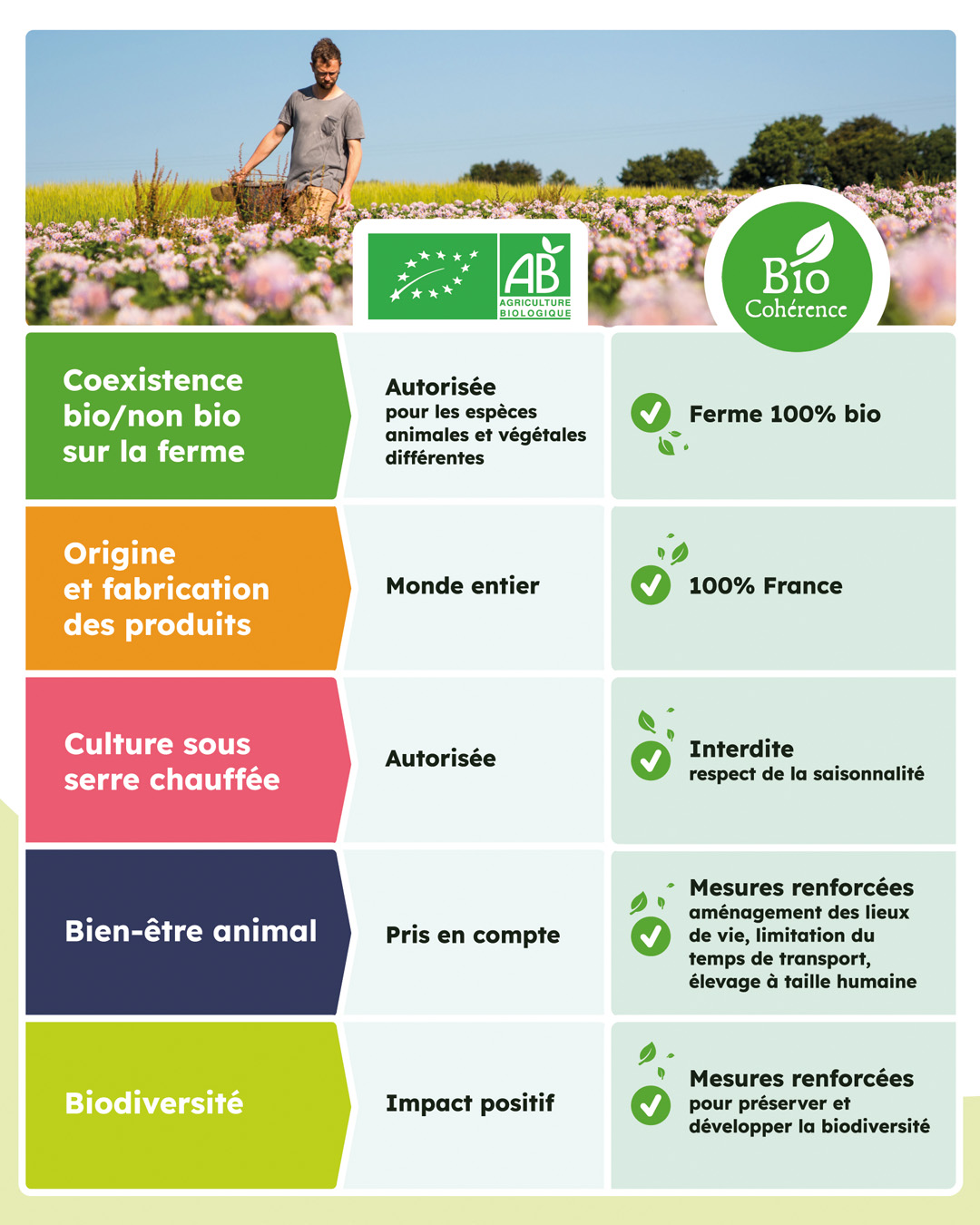 Bio Cohérence