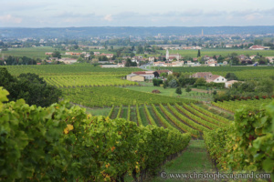 THEULET MARSALET