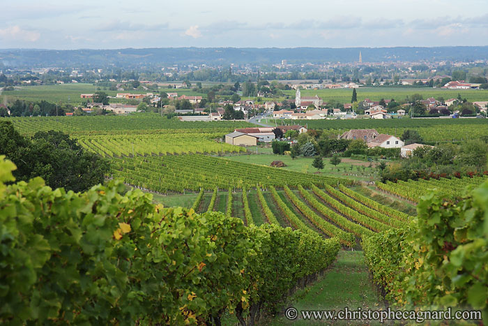 THEULET MARSALET