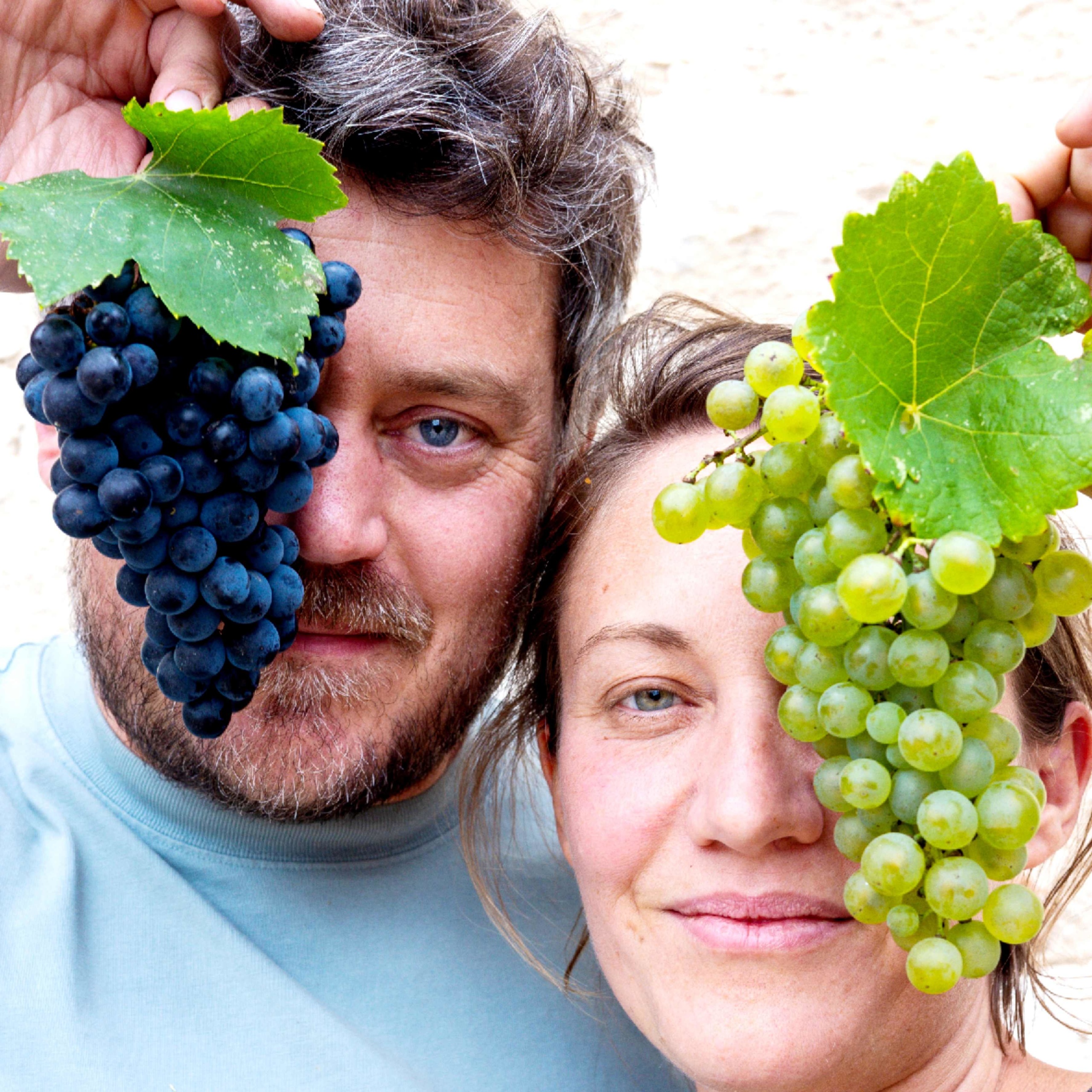 Domaine de Cantalauze