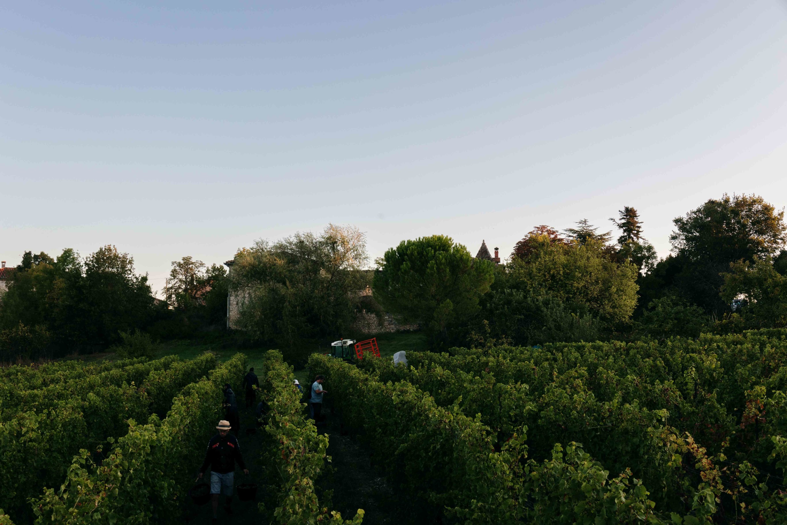 Domaine de Cantalauze