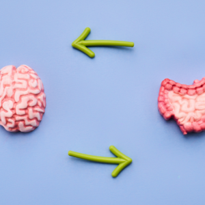 Axe cerveau intestin : le duo qui pilote votre santé et vos émotions – Découvrez comment votre intestin influence vos émotions et votre santé.
