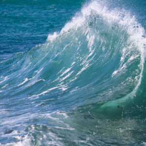 « L’océan intérieur : quand l’eau de mer parle à nos cellules »